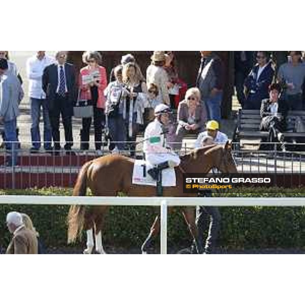 Carlo Fiocchi on Basileus - Premio Presidente della Repubblica GBI racing Rome Capannelle racecourse, 14th may 2017 - ph.Stefano Grasso