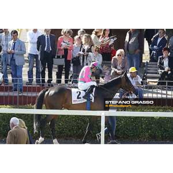 Dario Vargiu on Greg Pass - Premio Presidente della Repubblica GBI racing Rome Capannelle racecourse, 14th may 2017 - ph.Stefano Grasso