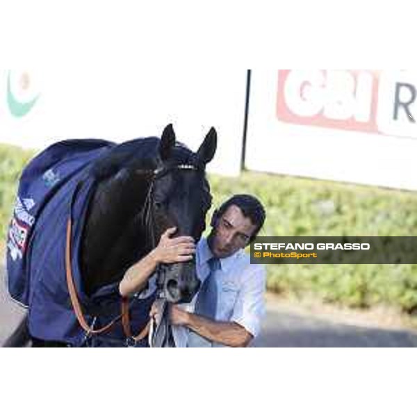 Jonathan Bacci and Time to Choose - Premio Presidente della Repubblica GBI racing Rome Capannelle racecourse, 14th may 2017 - ph.Stefano Grasso