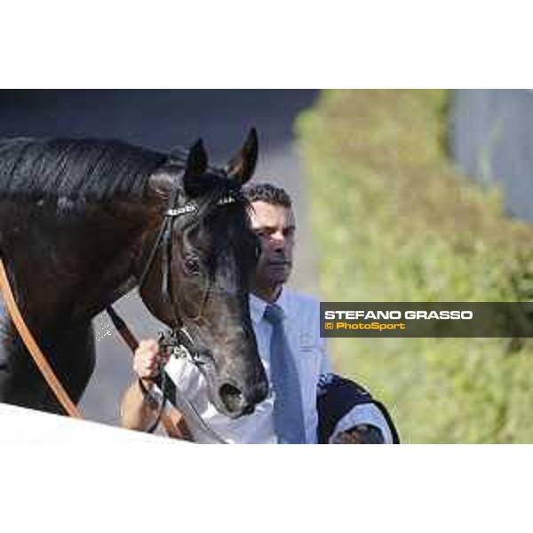 Jonathan Bacci and Time to Choose - Premio Presidente della Repubblica GBI racing Rome Capannelle racecourse, 14th may 2017 - ph.Stefano Grasso