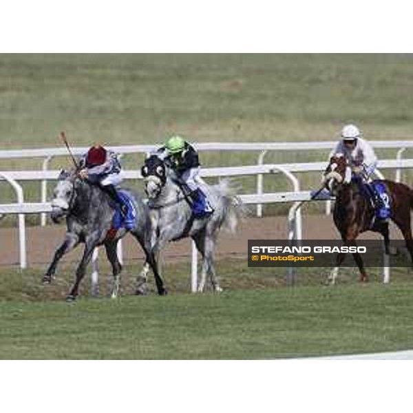 Faleh Bughenaim on Meblsh wins the Premio Dubai International Arabian Races Rome Capannelle racecourse, 14th may 2017 - ph.Stefano Grasso