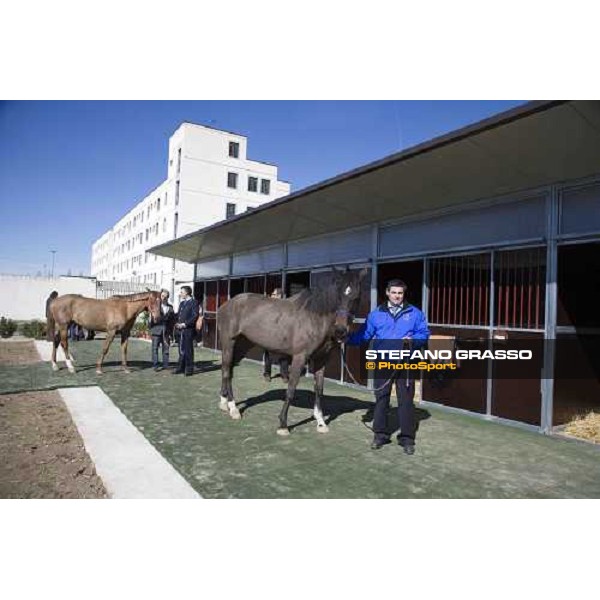 Due guardie carcerarie accudiscono un cavallo nelle nuove scuderie nella casa di reclusione di Bollate, all\' inaugurazione del progetto \'Cavalli in Carcere\' Bollate, 27 febbraio 2007 ph. Stefano Grasso