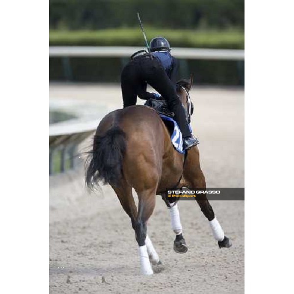 a two year old working at Calder racetrack Miami, 4th march 2007 ph. Stefano Grasso