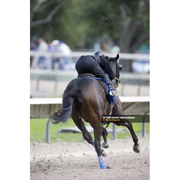 a two year old in training at Calder racetrack Miami, 4th march 2007 ph. Stefano Grasso