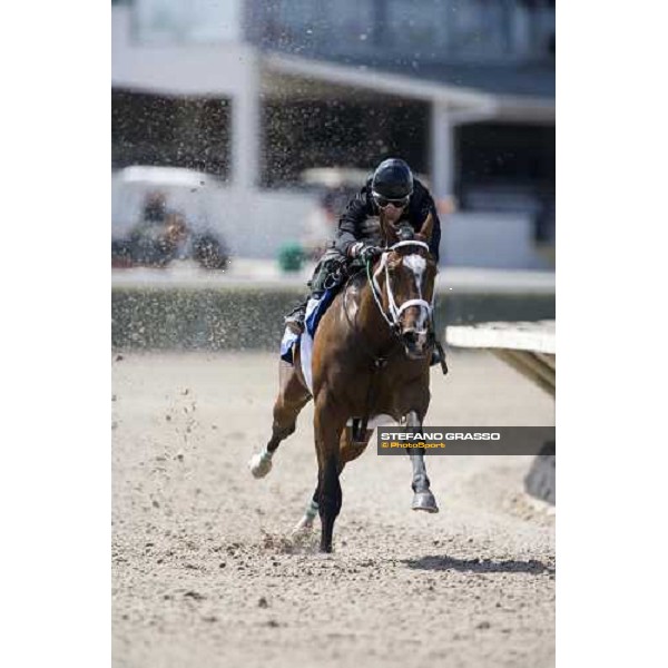a two year old in training at Calder racetrack Miami, 4th march 2007 ph. Stefano Grasso