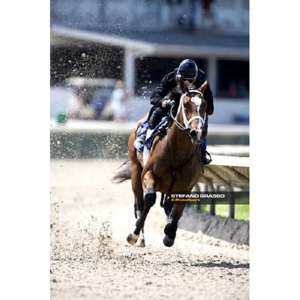 two year old in training at Calder racetrack Miami, 4th march 2007 ph. Stefano Grasso