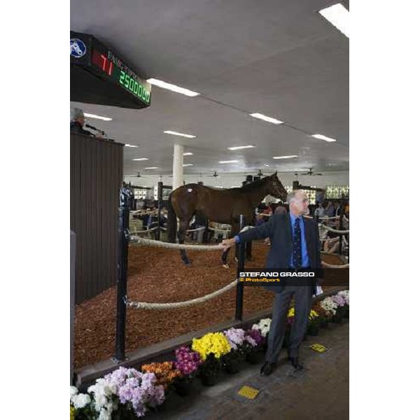 selected sales of 2YOs in training at Calder - the top price at 2.500.000 Usdollars, bay colt by Storm Cat out of Moon Safari Miami, 6th march 2007 ph. Stefano Grasso