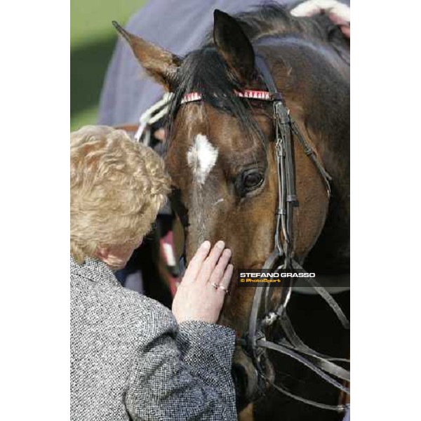 a caress by the owner to My Way de Solzen winner of the Irish Independent Arkle Challenge Trophy Cheltenham, The Festival 13th march 2007 ph. Stefano Grasso