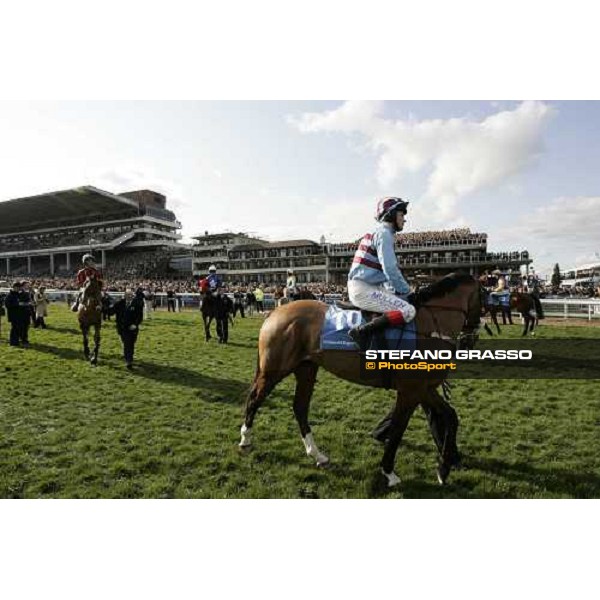Philip Carberry on Sublimity parades in front of 65.000 people at Cheltenham racecourse, before the start of The Smurfit Kappa Champion Hurdle Cheltenham, the Festival, 13th march 2007 ph. Stefano Grasso
