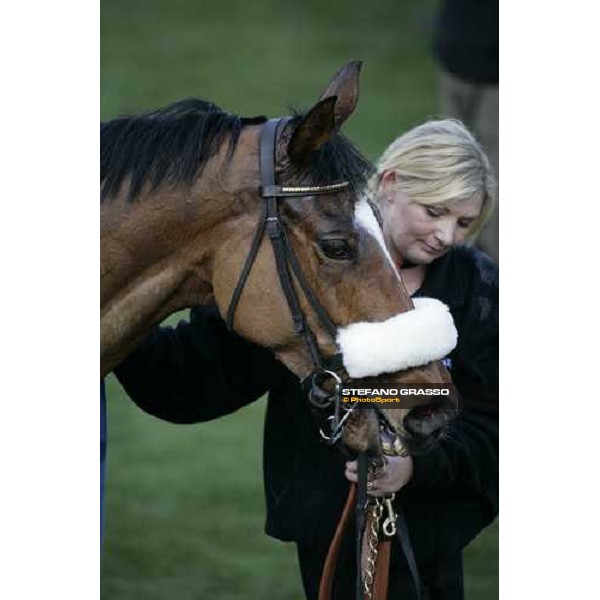 a close up for Sublimity winner of the Smurfit Kappa Champion Hurdle Cheltenham, The Festival 13th march 2007 ph. Stefano Grasso