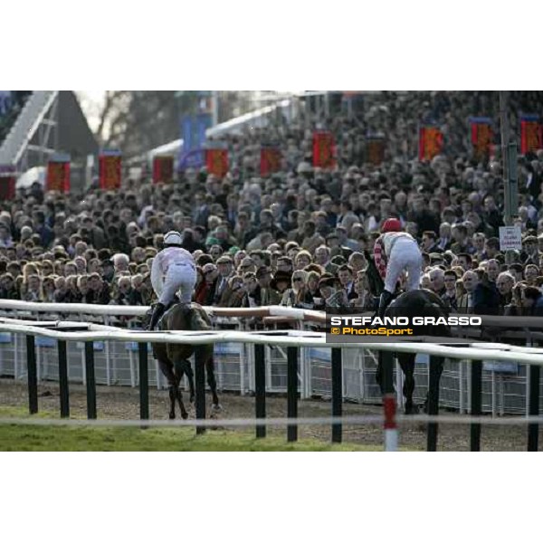 the horses go to the start of The William Hill Trophy Cheltenham, 13th march 2007 ph. Stefano Grasso