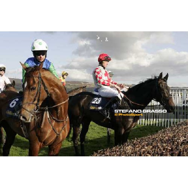 horses and jockeys look the fence before the start Cheltenham, the Festival, 13th march 2007 ph. Stefano Grasso