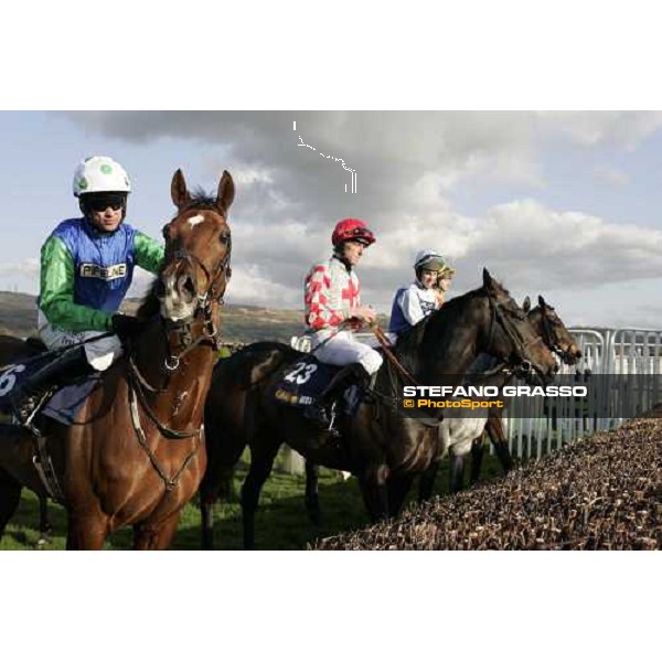 horses and jockeys look the fence before the start Cheltenham, the Festival, 13th march 2007 ph. Stefano Grasso