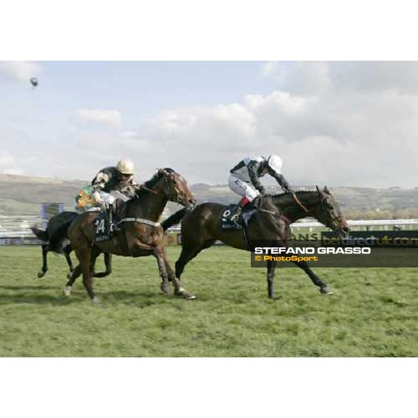 Richard Johnson on Massini\'s Maguire leads at last few meters to the line and wins the Ballymore Properties Novice\'s Hurdle beating Tidal Bay Cheltenham, 2nd day - The Festival, 14th march 2007 ph. Stefano Grasso