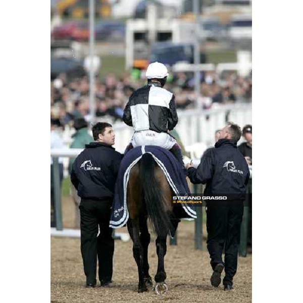 Richard Johnson comes back on Massini\'s Maguire after winning the Ballymore Properties Novices\' Hurdle Race Cheltenham, 2nd day - The Festival, 14th march 2007 ph. Stefano Grasso