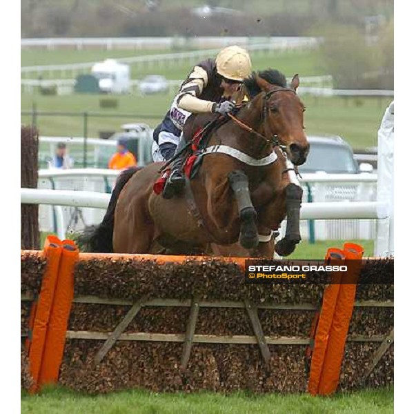 PAddy Brennan on Inglish Drever jumps the last hurdle and goes to win the Ladbrokes World Hurdle Cheltenham - The Festival 3rd day, 15th march 2007 ph. Stefano Grasso