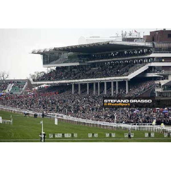 a view of the crowded grandstand at Cheltenham Cheltenham, The Festival, 3rd day. 15th march 2007 ph. Stefano Grasso