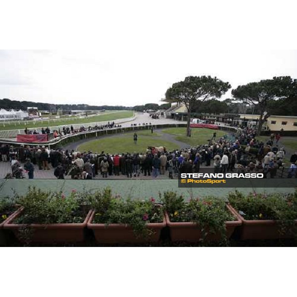 Breeze Up sales by Sga at San Rossore racetrack Pisa, 24th march 2007 ph. Stefano Grasso
