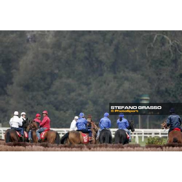 Breeze Up sales by Sga at San Rossore racetrack Pisa, 24th march 2007 ph. Stefano Grasso