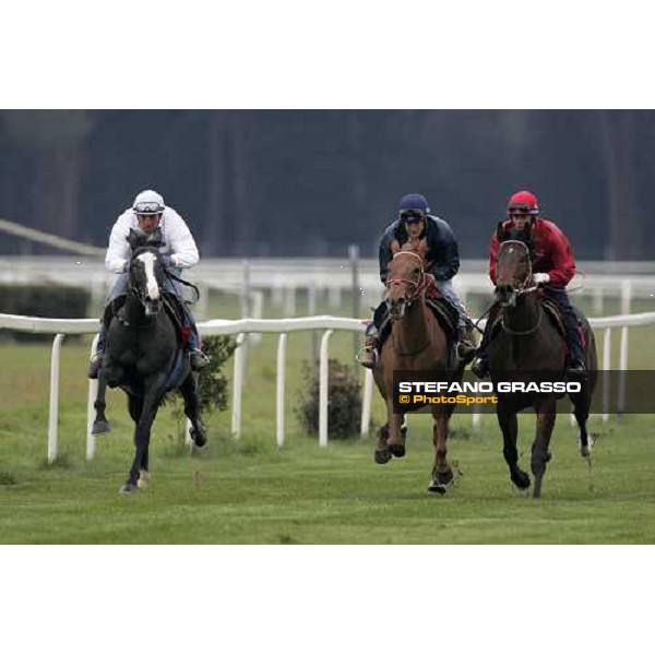 Breeze Up sales by Sga at San Rossore racetrack Pisa, 24th march 2007 ph. Stefano Grasso