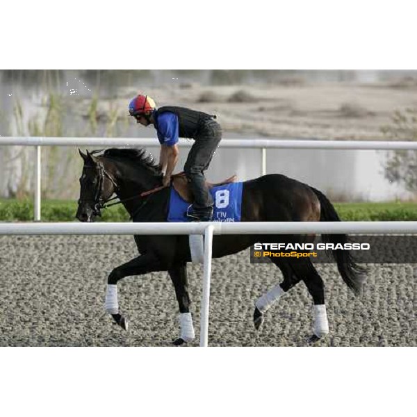 Frankie Dettori on Ramonti during morning track works at Al Quoz racing stables Dubai, 28th march 2007 ph. Stefano Grasso