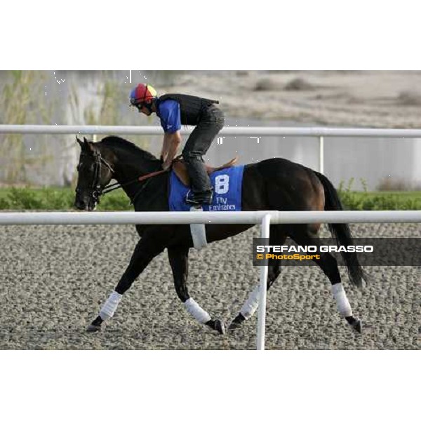 Frankie Dettori on Ramonti during morning track works at Al Quoz racing stables Dubai, 28th march 2007 ph. Stefano Grasso