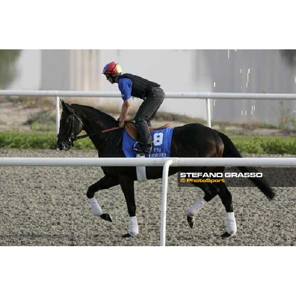 Frankie Dettori on Ramonti during morning track works at Al Quoz racing stables Dubai, 28th march 2007 ph. Stefano Grasso