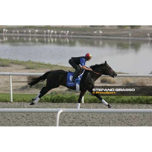 Frankie Dettori on Ramonti during morning track works at Al Quoz racing stables Dubai, 28th march 2007 ph. Stefano Grasso