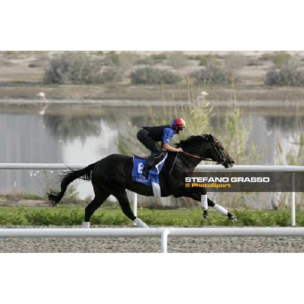 Frankie Dettori on Ramonti during morning track works at Al Quoz racing stables Dubai, 28th march 2007 ph. Stefano Grasso