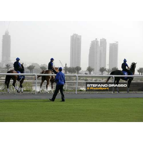 trainer Saeed Bin Suroor with Discreet Caat and Day Pass during morning track works at Godolphin stables Dubai, Al Quoz 28th march 2007 ph. Stefano Grasso