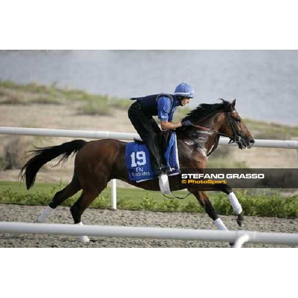 Best Alibi during morning track works at Godolphin stables Dubai, Al Quoz 28th march 2007 ph. Stefano Grasso