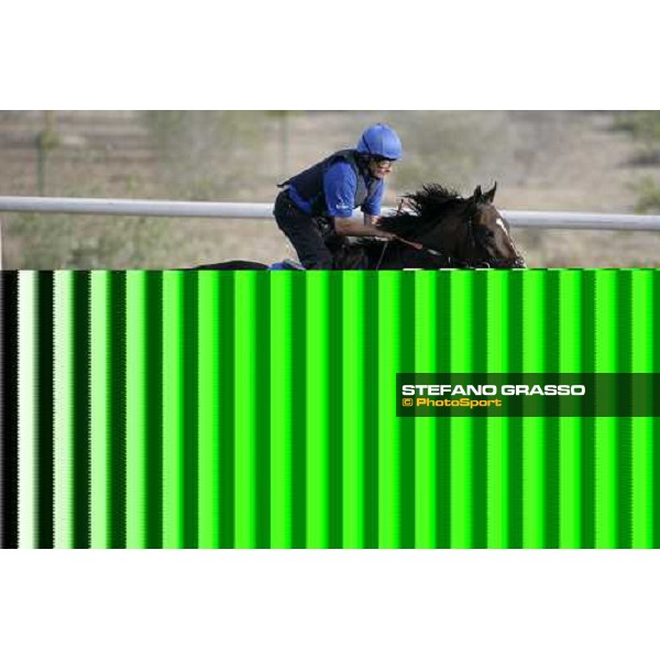 Best Name during morning track works at Godolphin stables Dubai, Al Quoz 28th march 2007 ph. Stefano Grasso