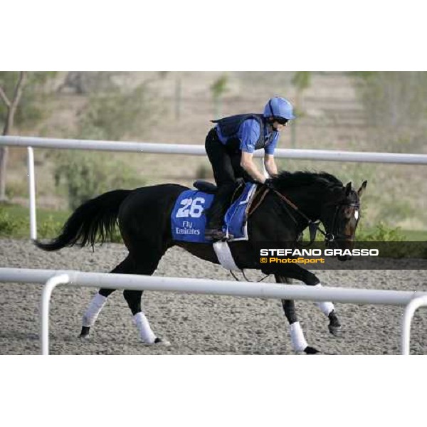 Eastern Anthem during morning track works at Godolphin stables Dubai, Al Quoz 28th march 2007 ph. Stefano Grasso
