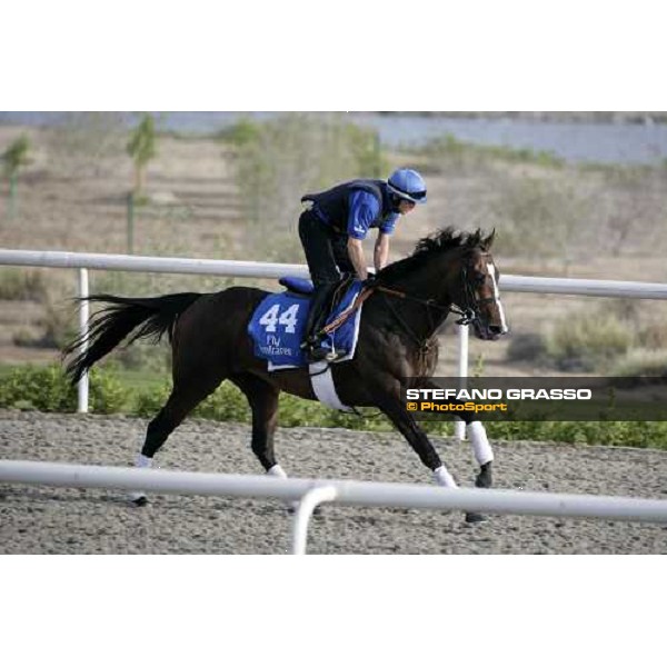 Laverock during morning track works at Godolphin stables Dubai, Al Quoz 28th march 2007 ph. Stefano Grasso