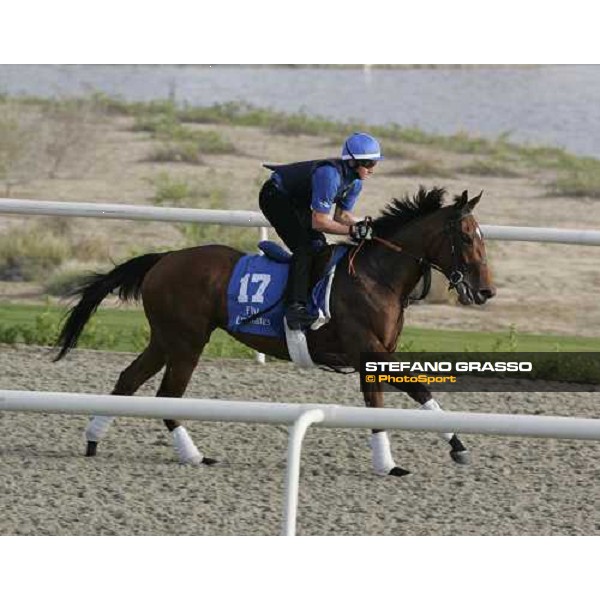 Folk during morning track works at Godolphin stables Dubai, Al Quoz 28th march 2007 ph. Stefano Grasso
