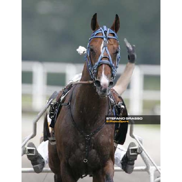 a close up for Felix del Nord winner of the 1st heat of Gran Premio Lotteria Napoli, 6th may 2007 ph. Stefano Grasso