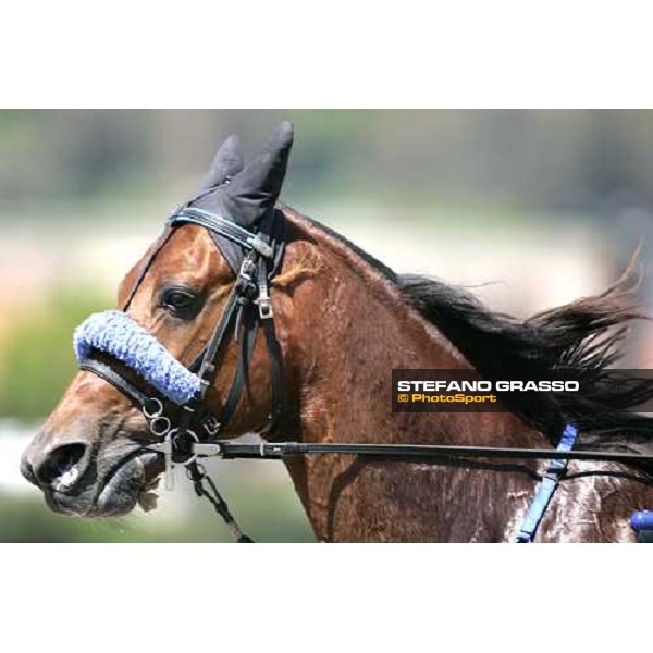 close up for Eastwood OM Napoli, 6th may 2007 ph. Stefano Grasso
