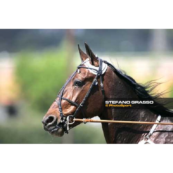 close up for Fantasy Broline Napoli, 6th may 2007 ph. Stefano Grasso