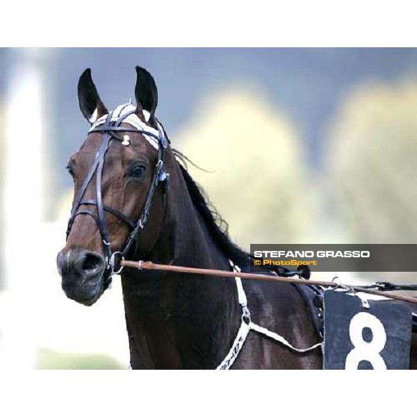 close up for Fantasy Broline Napoli, 6th may 2007 ph. Stefano Grasso
