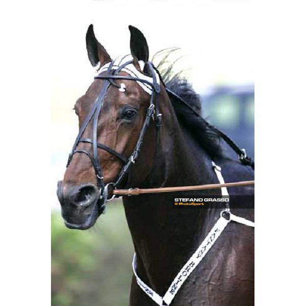 close up for Fantasy Broline Napoli, 6th may 2007 ph. Stefano Grasso