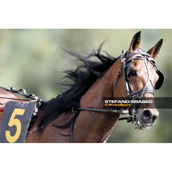 close up for Equinox Bi before the race Napoli, 6th may 2007 ph. Stefano Grasso
