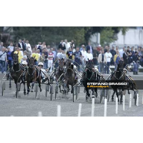 straight of the 58¡ Gran Premio Lotteria - Exploit Caf, Felix del Nord, Frisky Bieffe and El Nino Napoli, 6th may 2007 ph. Stefano Grasso
