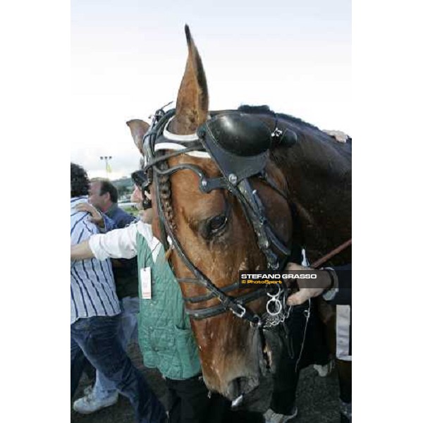 58¡ Gran Premio Lotteria - close up for Exploit Caf after the race Napoli, 6th may 2007 ph. Stefano Grasso