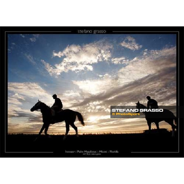 Invasor - Palm Meadow - Miami - Florida 2007 ph.Stefano Grasso
