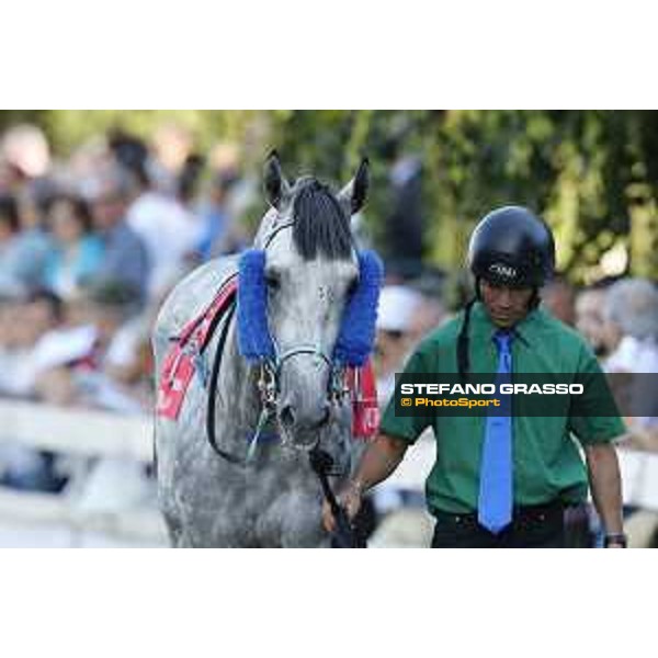 Quelindo Milano - San Siro galopp racecourse, 18th june 2017 ph.Stefano Grasso