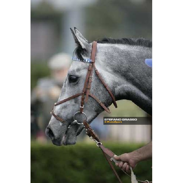 a close uip for Vol de Nuit Roma, 30 aprile 2007 ph. Stefano Grasso