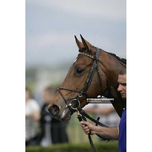 close up for Samya and his groom Roma, 30 aprile 2007 ph. Stefano Grasso