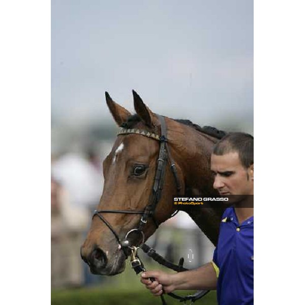 close up for Samya and his groom Roma, 30 aprile 2007 ph. Stefano Grasso