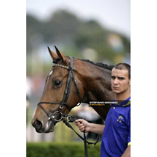 close up for Samya and his groom Roma, 30 aprile 2007 ph. Stefano Grasso