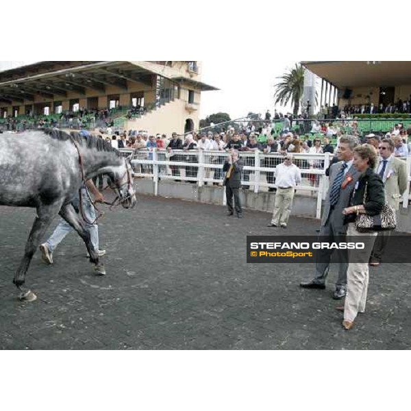 Andrea Scarpellini and Franca Vittadini look Vol de Nuit after the triumph in the Premio Signorino Roma, 30 aprile 2007 ph. Stefano Grasso